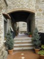 /album/galleria-foto-successi-e-progressi1/wp-000267-jpg/