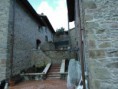 /album/galleria-foto-successi-e-progressi1/wp-000264-jpg/